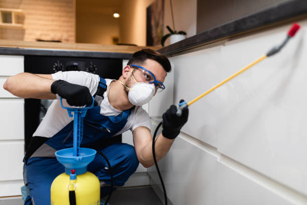 Best Residential Pest Control  in Excelsior, MN
